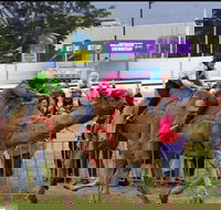 Camel Races at Gosford Showgrounds - Perths Hotel