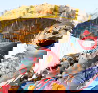 Campbelltown City Festival of Fisher's Ghost - Perths Hotel