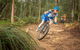 Diamonds In The Dirt Women's Only MTB Event - thumb 1