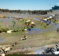 Dogs In the Park Swansea - Perths Hotel