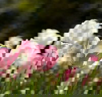 Floriade Reimagined - Perths Hotel