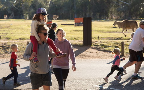 MAAS Group Dubbo Stampede Running Festival - Perths Hotel 1