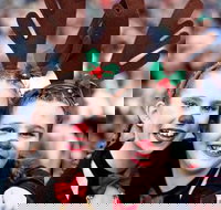 Mount Druitt Christmas Light Up Concert - Perths Hotel