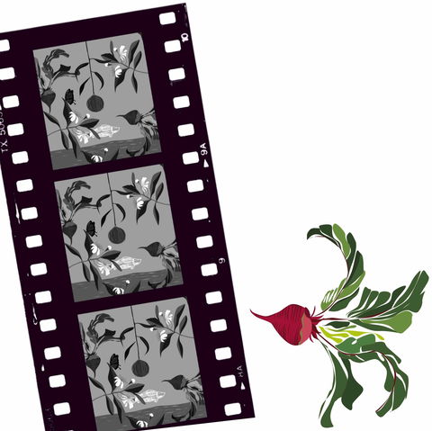 Oseanica Film Project - Perths Hotel 0