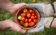 Riverina Producers Market - thumb 0