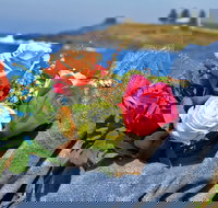 Roses by the Seaside National Rose Championships and Conference - Perths Hotel