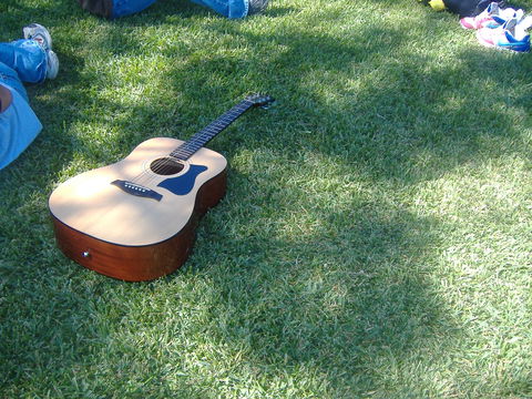 Rosewood Country Round Up Music Festival - Perths Hotel 0