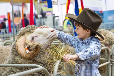 Sydney Royal Easter Show - Perths Hotel 0