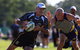 Touch Football Australia National Touch League - thumb 1