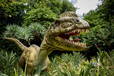 Zoorassic At Werribee Open Range Zoo. - Perths Hotel 1