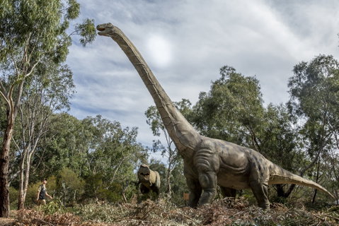 Zoorassic At Werribee Open Range Zoo. - Perths Hotel 2