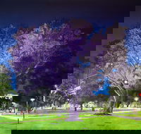 Adelaide Parklands Art Prize  Finalists Exhibition  Sale 2020 - Perths Hotel