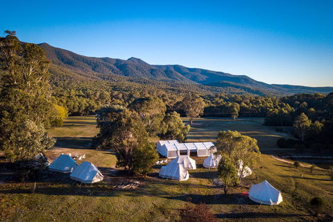 A Wild Night Out - Spring - Perths Hotel 5