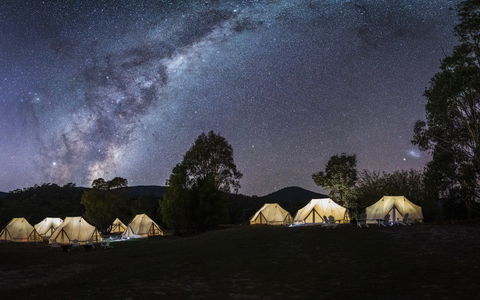 A Wild Night Out - Spring - Perths Hotel 6