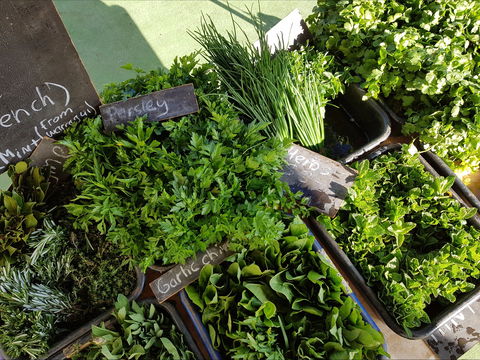 Carlton Farmers' Market - Perths Hotel 2