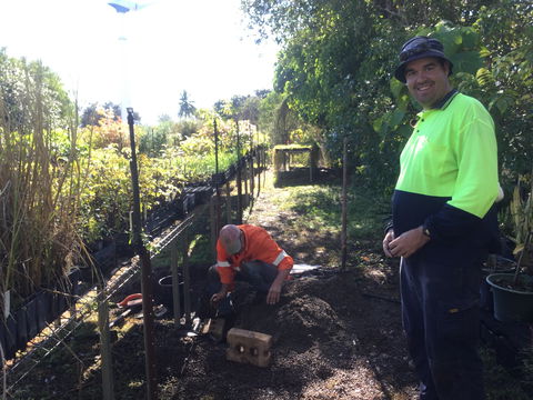 Conservation Volunteers Australia Townsville - Ocean View Nursery - Perths Hotel 1