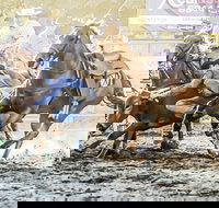 Gundagai Rodeo - Perths Hotel