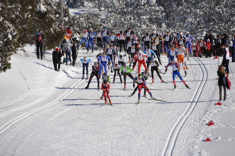 Kangaroo Hoppet - Perths Hotel 1