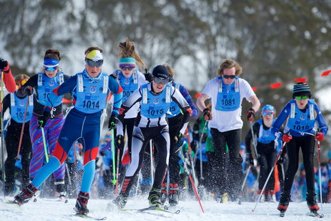 Kangaroo Hoppet - Perths Hotel 2