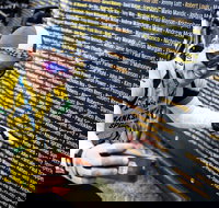 Ltape Australia by Tour de France - Perths Hotel