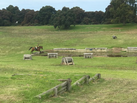 Mount Gambier And District Pony Club Horse Trials 2020 - Perths Hotel 0