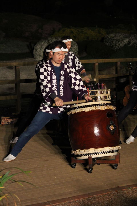 Sakura Matsuri  - Cherry Blossom Festival - In Doubt Due To Covid-19 - Perths Hotel 1