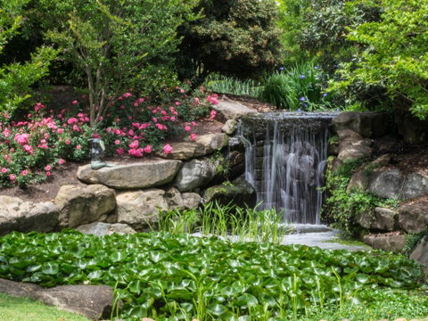 Spring Time At Hunter Valley Gardens - Perths Hotel 1