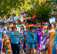 Wagga Wagga Mardi Gras Festival - Perths Hotel