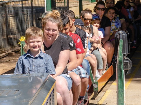 Willans Hill Miniature Railway Rides: Open Days - Perths Hotel 0