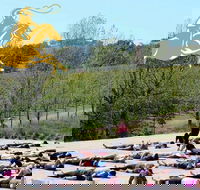 Yoga in the Vines - Perths Hotel