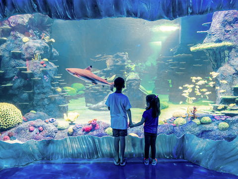 Sydney's Aquarium - Perths Hotel 1