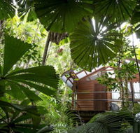 Daintree Wilderness Lodge - Perths Hotel