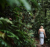 Daintree Ecolodge - Perths Hotel