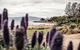 Piermont Retreat - thumb 3