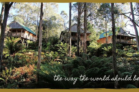 Lemonthyme Wilderness Retreat - Perths Hotel 5