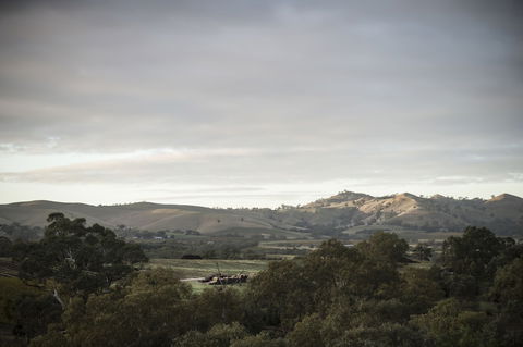 Novotel Barossa Valley Resort - Perths Hotel 1