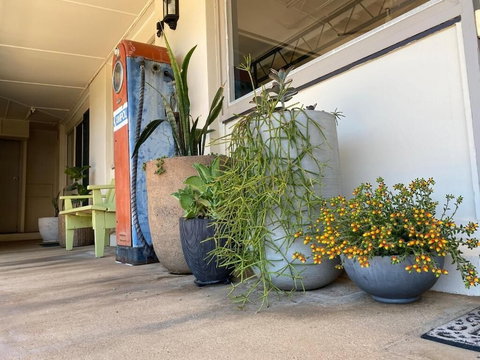 Ben Hall Motor Inn - Perths Hotel 5