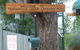 Tenterfield Lodge And Caravan Park - thumb 0