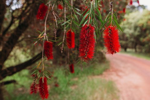 Margaret River Holiday Cottages - Perths Hotel 2