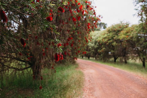 Margaret River Holiday Cottages - Perths Hotel 1
