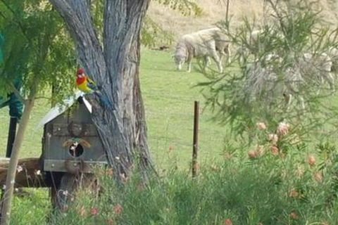 Birdhouse Cottage B & B - Perths Hotel 5