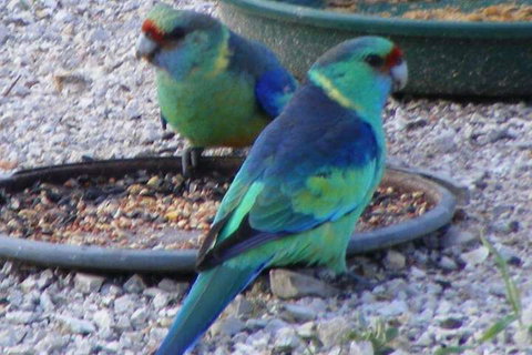 Sonjas Bed And Breakfast - Perths Hotel 1