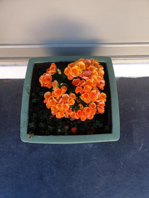 Parkside Motel Morwell - Perths Hotel 6