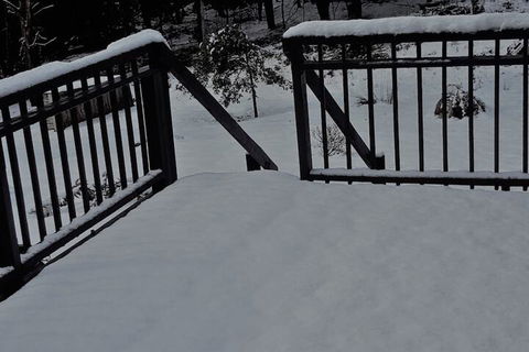 Cradle Alpine Retreat - Perths Hotel 1