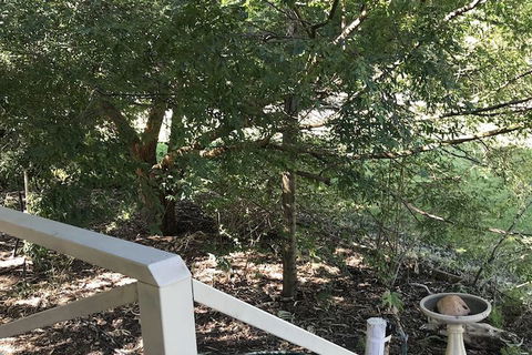 Padthaway Caravan Park - Perths Hotel 4