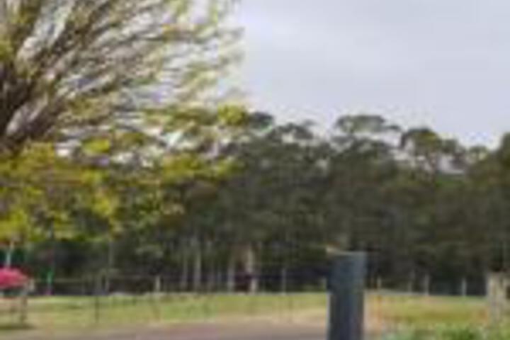 Wyena TAS Perths Hotel