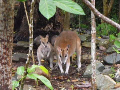 Yachtsmans Paradise Whitsundays - Perths Hotel 6