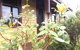 Albion Cottage - thumb 4