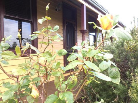 Albion Cottage - Perths Hotel 4