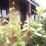 Albion Cottage - Perths Hotel 0